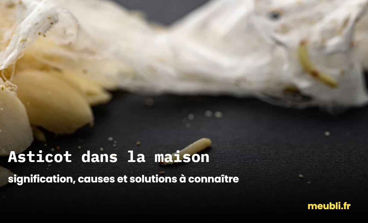 Asticot dans la maison signification : causes et solutions à connaître